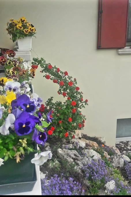 Villa Ama ポルデノーネ エクステリア 写真