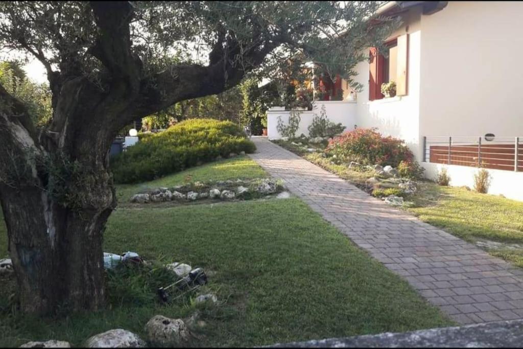 Villa Ama ポルデノーネ エクステリア 写真