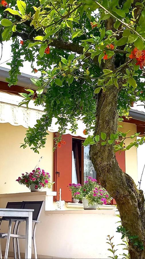 Villa Ama ポルデノーネ エクステリア 写真